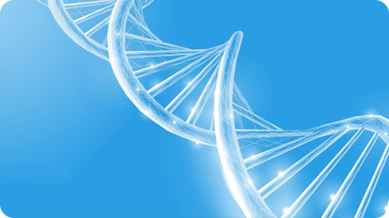 基因编辑平台-CRISPR